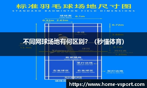 V体育官方网站
